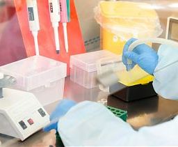 investigación