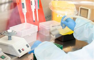investigación